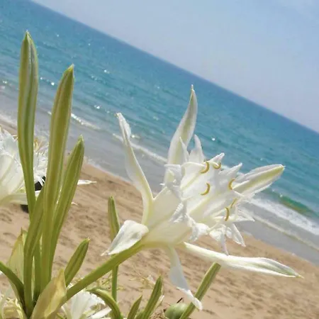 Villa Villino Gambero Ovile la Marina